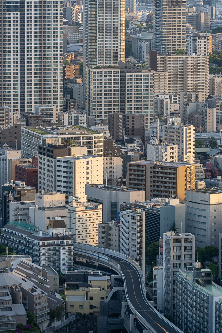 4. Tokyo