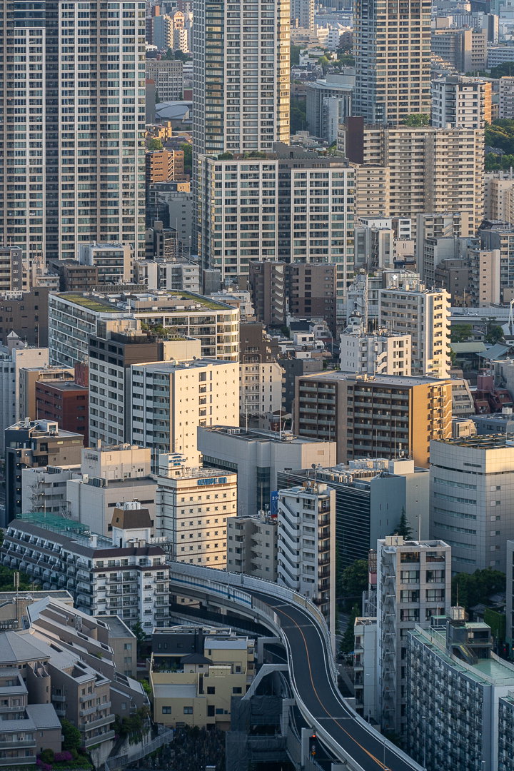 4. Tokyo