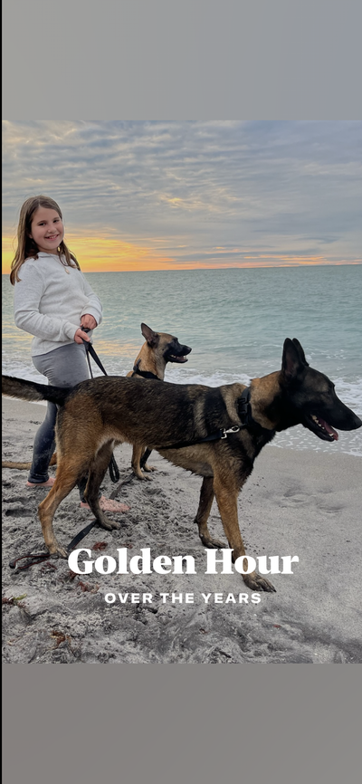 The Passing of K-9 Saber 😢