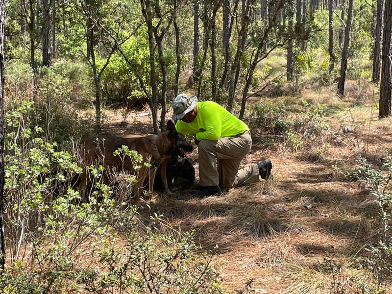 Ocala National Forest Search