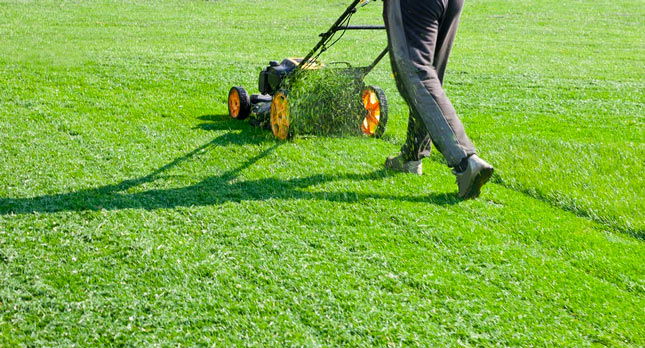Lawn, Park, and Streets Maintenance Services RFP