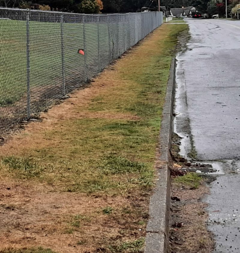 S. 3RD STREET SIDEWALK