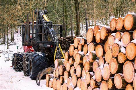 TIMBER HARVEST