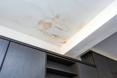 רטיבות שלא נעצרה: חווה פורמנד זכתה בתביעה נגד חברת הביטוח