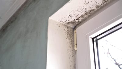 רטיבות בדירה, מקור בקירות הבניין: ייצוג יהודה לויטוס