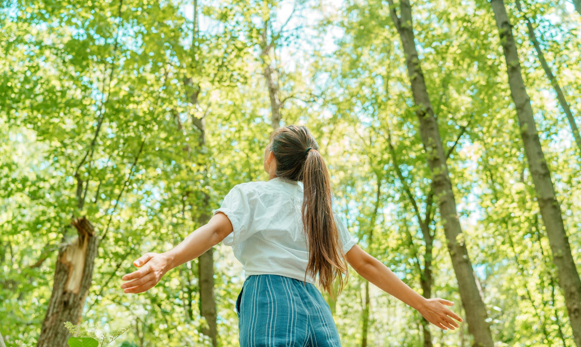 Qu'est-ce que la Santé Naturelle ?