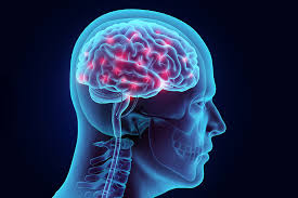 Neuro Athletik Training