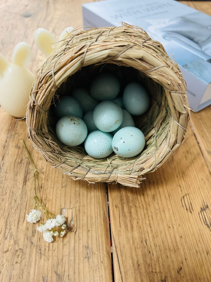 Blue Quail Eggs: Why These Beautiful Eggs Are So Special