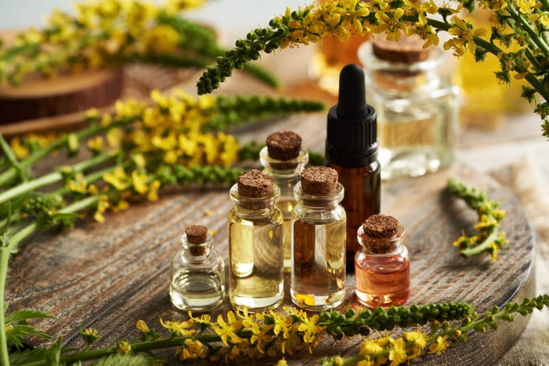 The Connection Between Beeswax and Aromatherapy