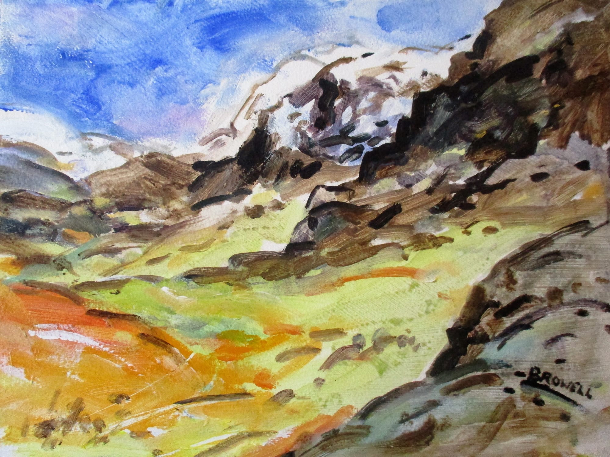 A Cumbrian hillside