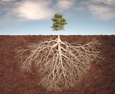 خارج النطاق!