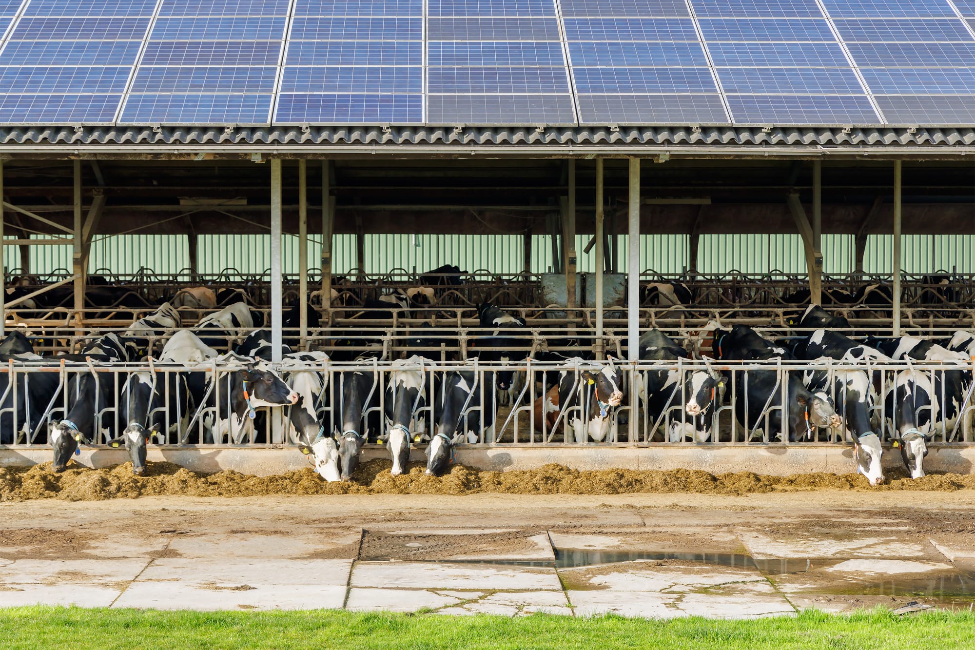 Dofinansowanie do 200 000 zł na fotowoltaikę z magazynem energii dla Rolników – nabór 2026