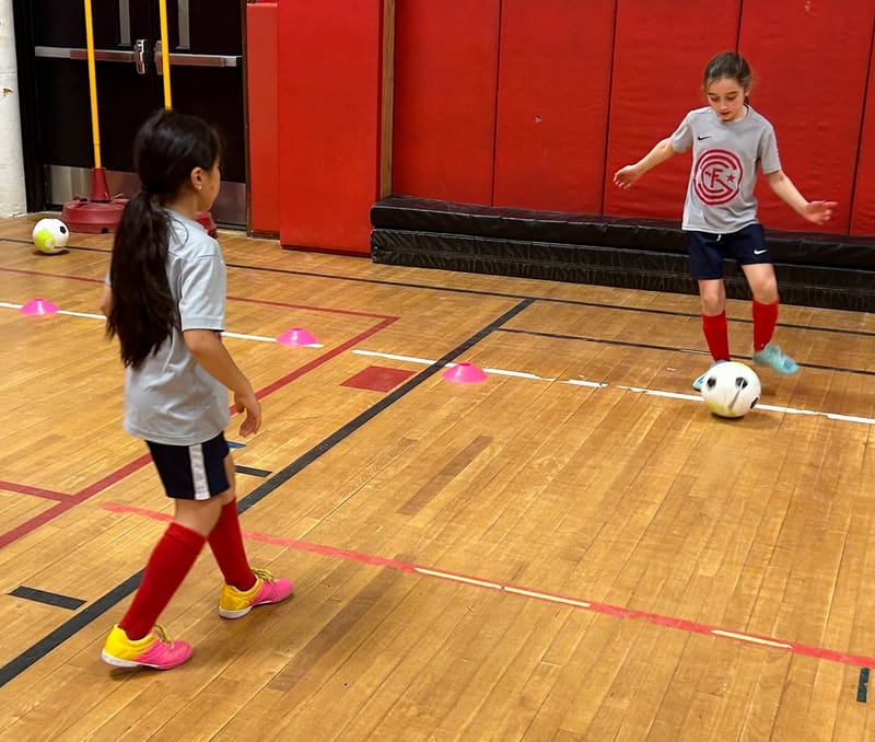 DEVELOPMENT TRAINING