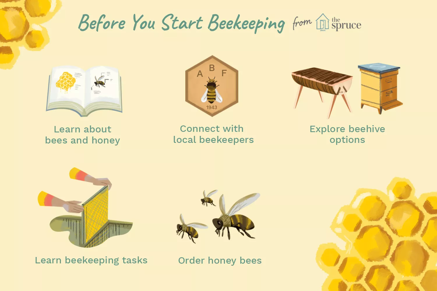 before you start beekeeping