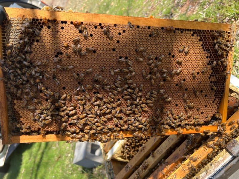 Preparing for Fall and Winter.