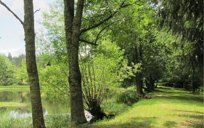 Repas / Hebergements image