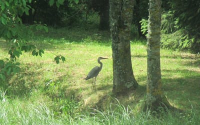 Repas / Hebergements image