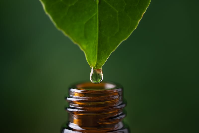 Phytothérapie énergétique