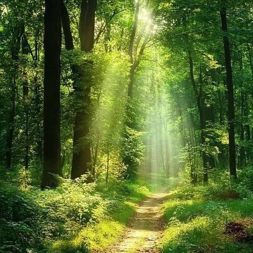 THE PATH OF LIVING MEDICINE