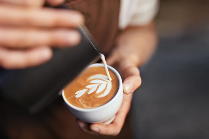 Café & Hospitality Program