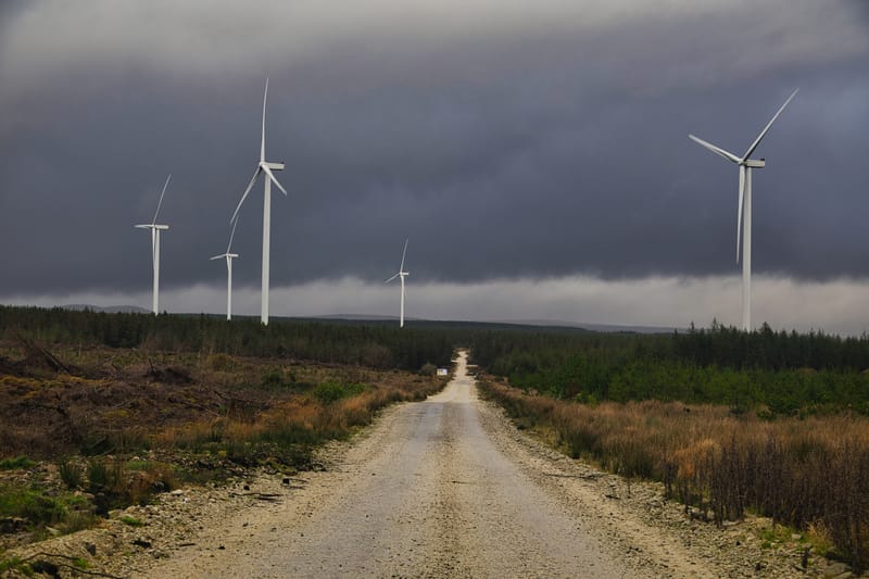 Sheskin, Navigating the Intersection of Technology and the Natural World  𖣘 ♻️ 🌿