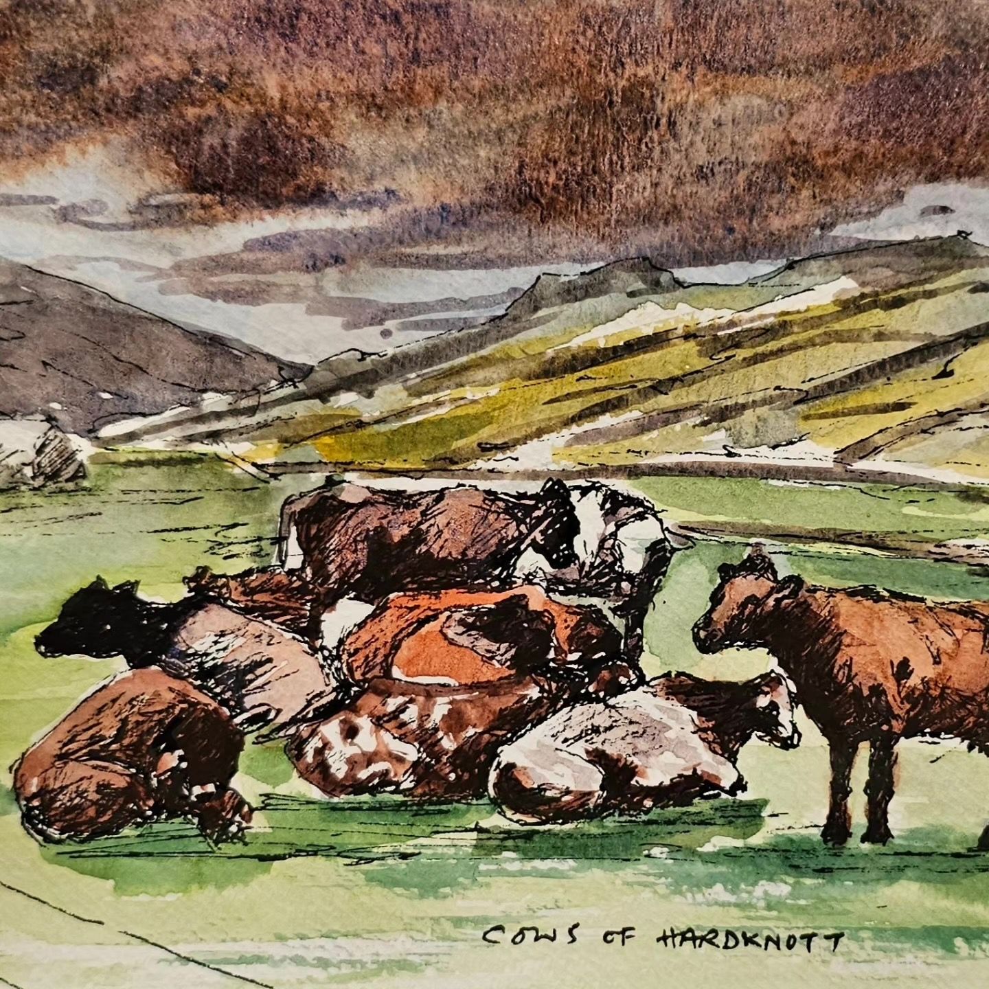 Cows of Hardknott pass, Lake district
