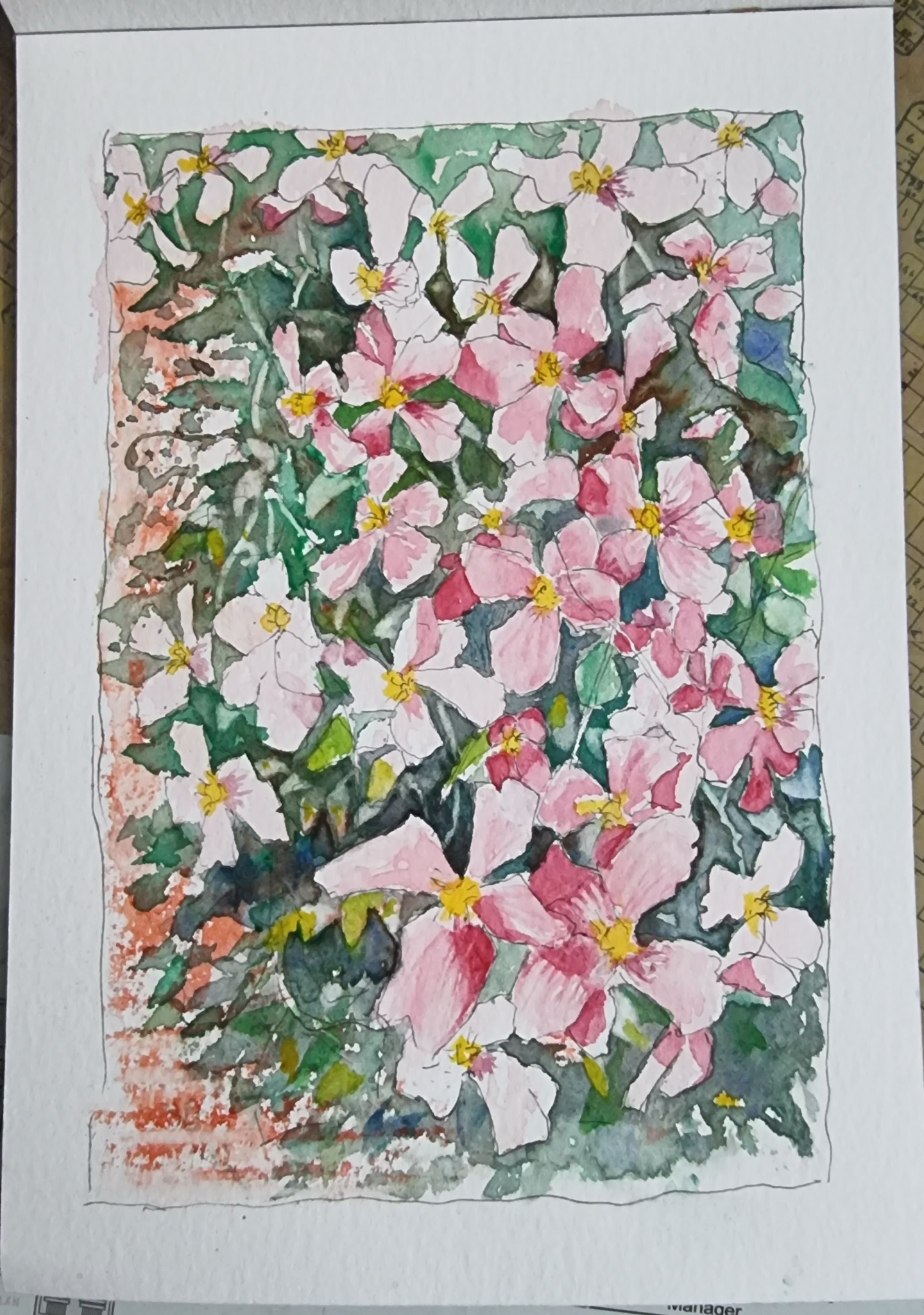 Clematis on my porch