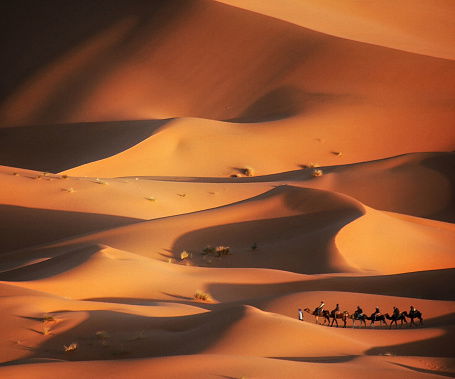 Marocco - Desert