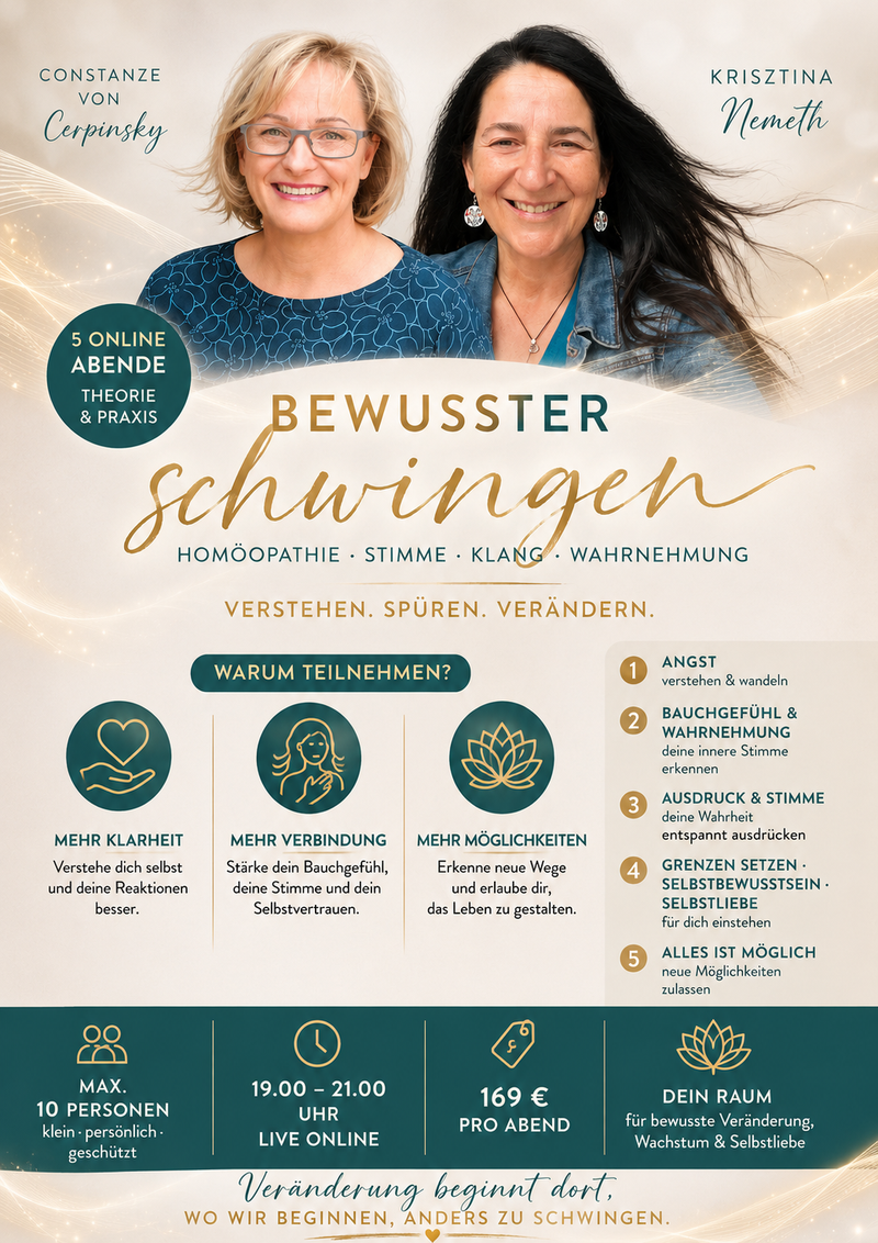 🇩🇪 Präsentation online webinarreihe