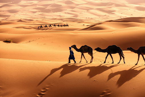 Marocco - Desert