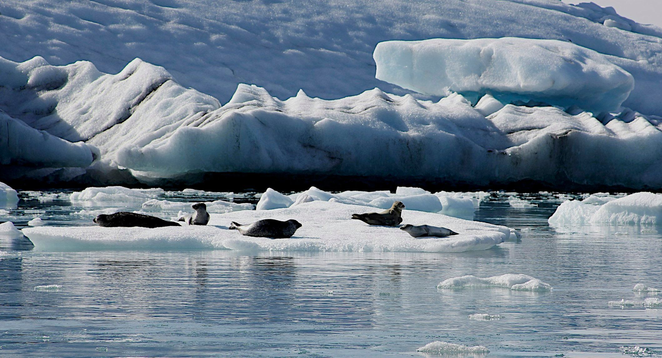 🇮🇹Cielo e Terra si toccano nel Cuore - 🇩🇪 Himmel und Erde treffen sich im Herz