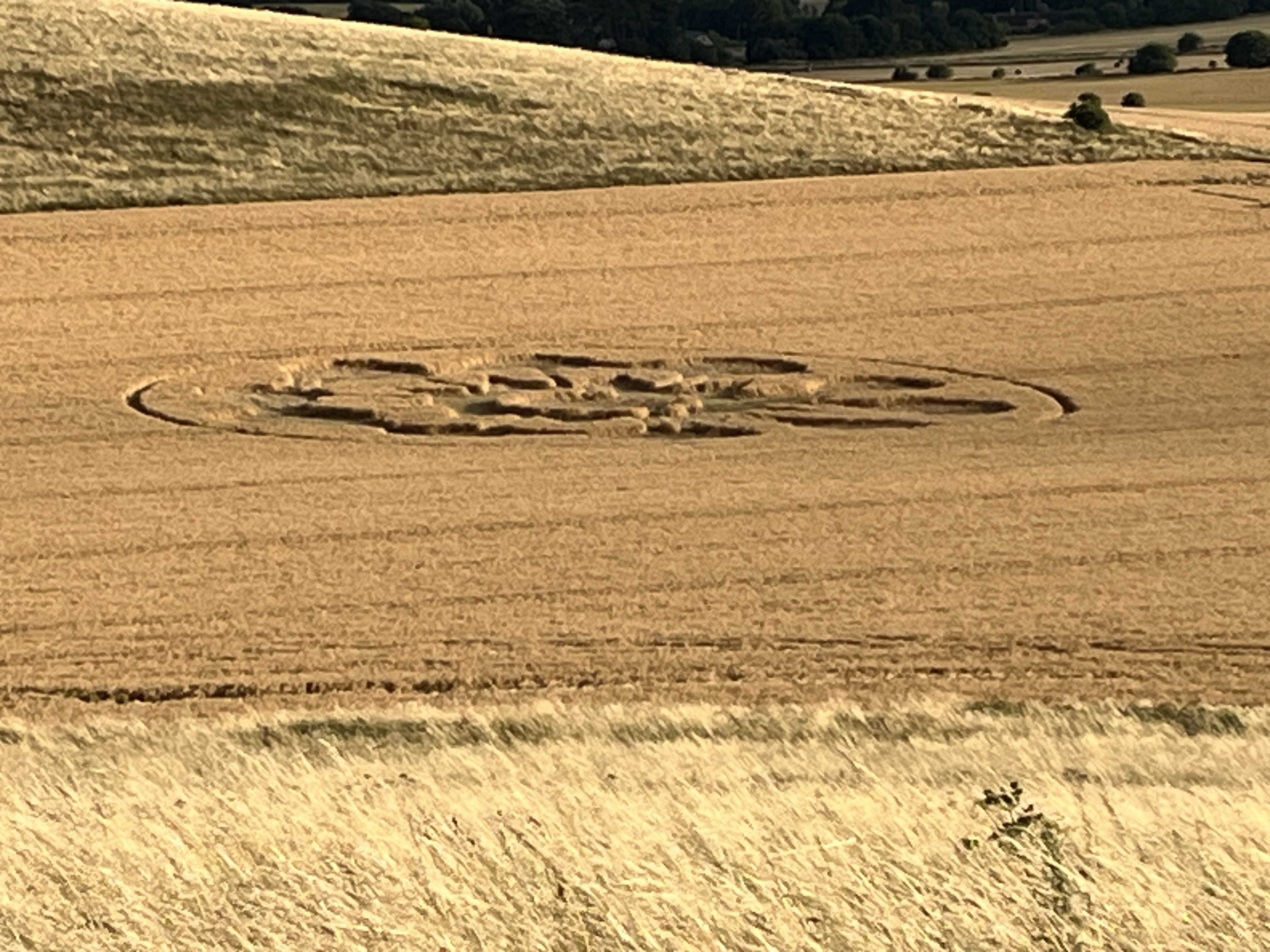Ich bin zu Hause, ich bin angekommen