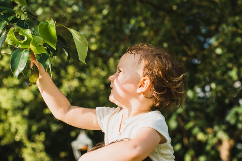 Sun Yat Sen Memorial Park