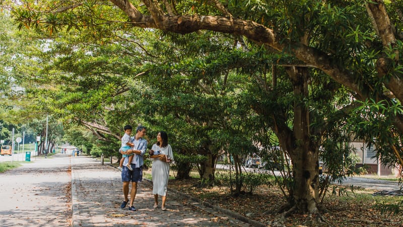 The third time of photogragh this family 