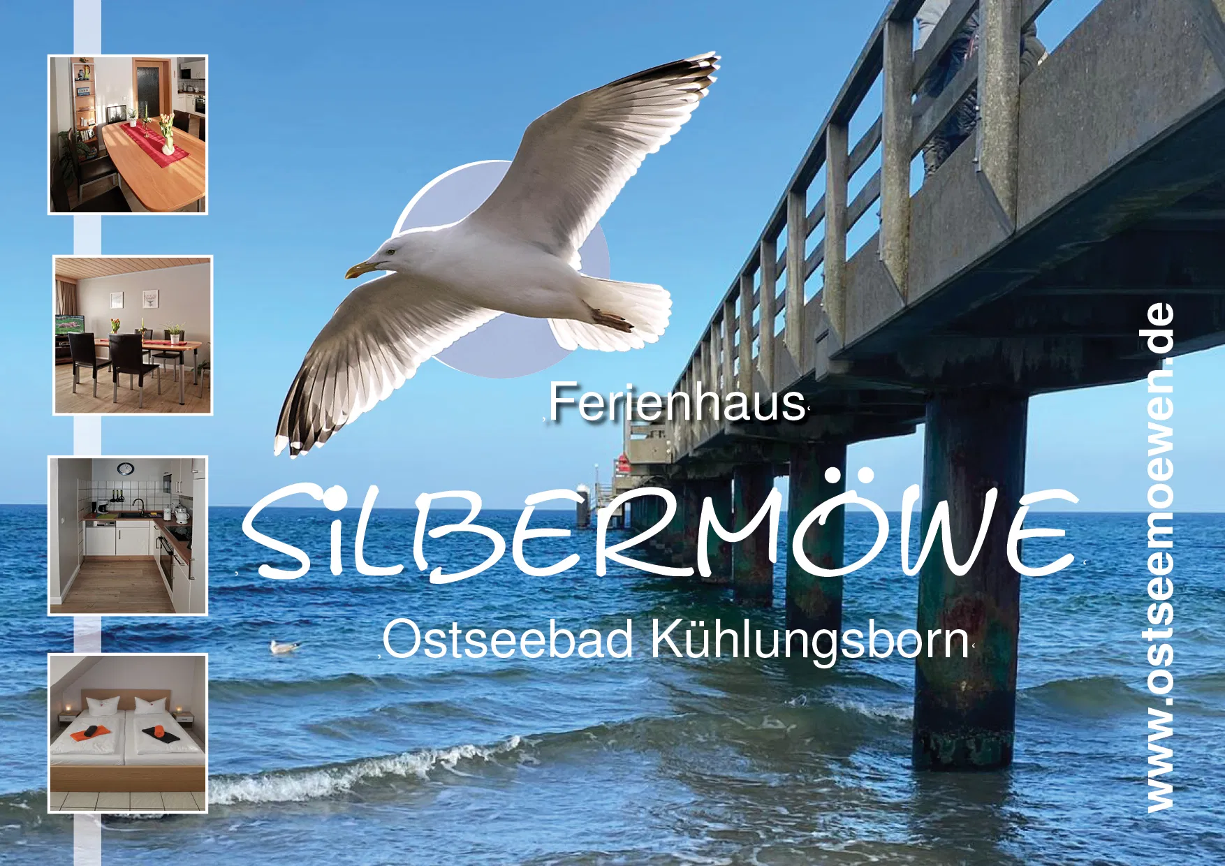 FeHa Heringsmoewe Kuehlungsborn