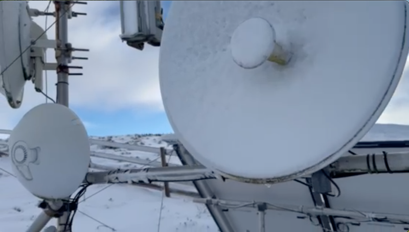 Intrepid local resident saves the day