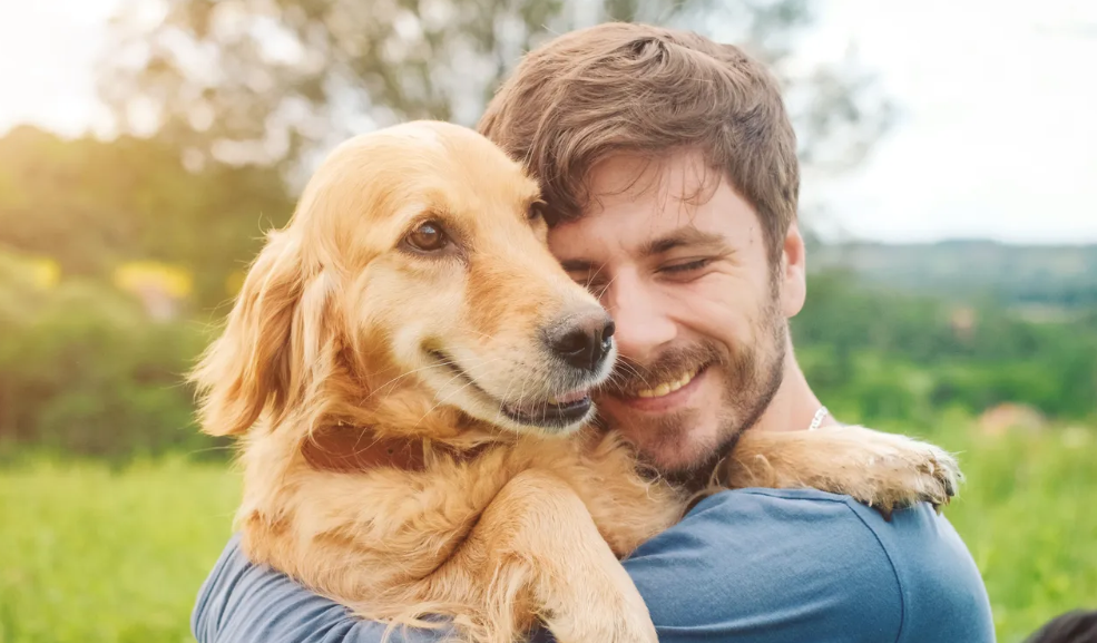 Les animaux et vous !
