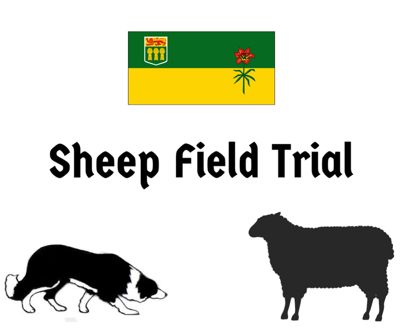 Eagle Creek Classic Sheep Dog Trial