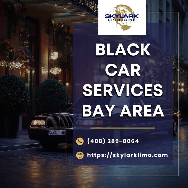 Bay Area Charter Bus Rental – Comfortable Group Travel with Skylark Limo
