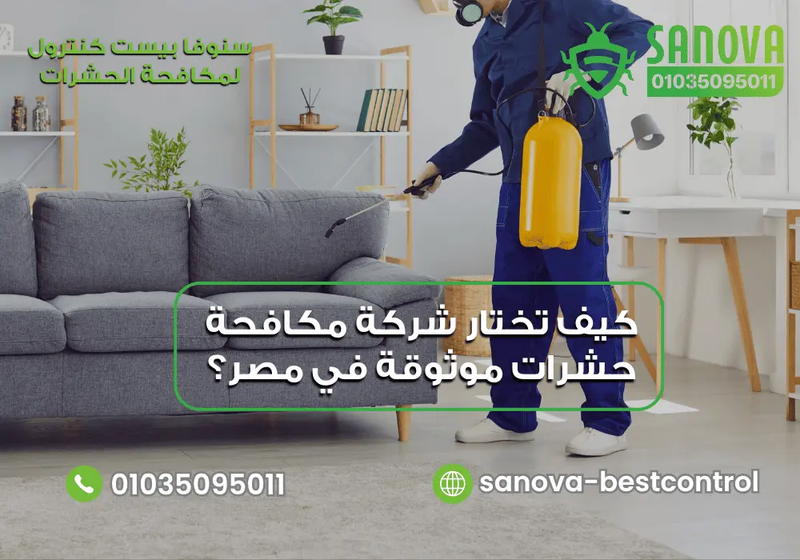 كيف تختار شركة مكافحة حشرات موثوقة في مصر؟