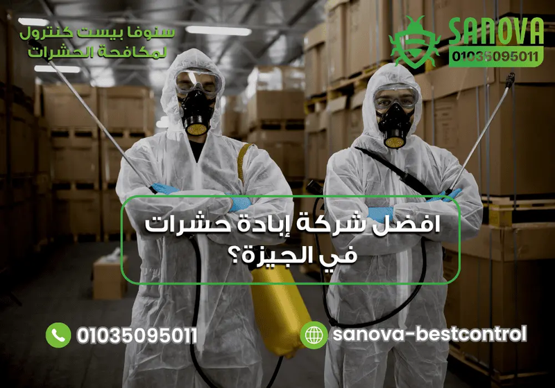 سنوفا بست كنترول افضل شركة إبادة حشرات في الجيزة؟