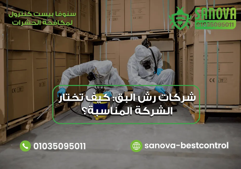 شركات رش البق: كيف تختار الشركة المناسبة؟