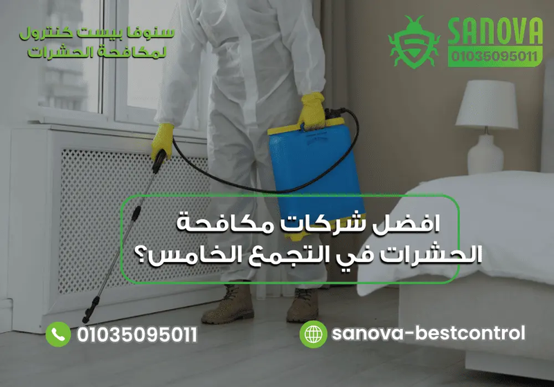 شركات مكافحة الحشرات في التجمع الخامس وكيف تختار الشركة المناسبة؟