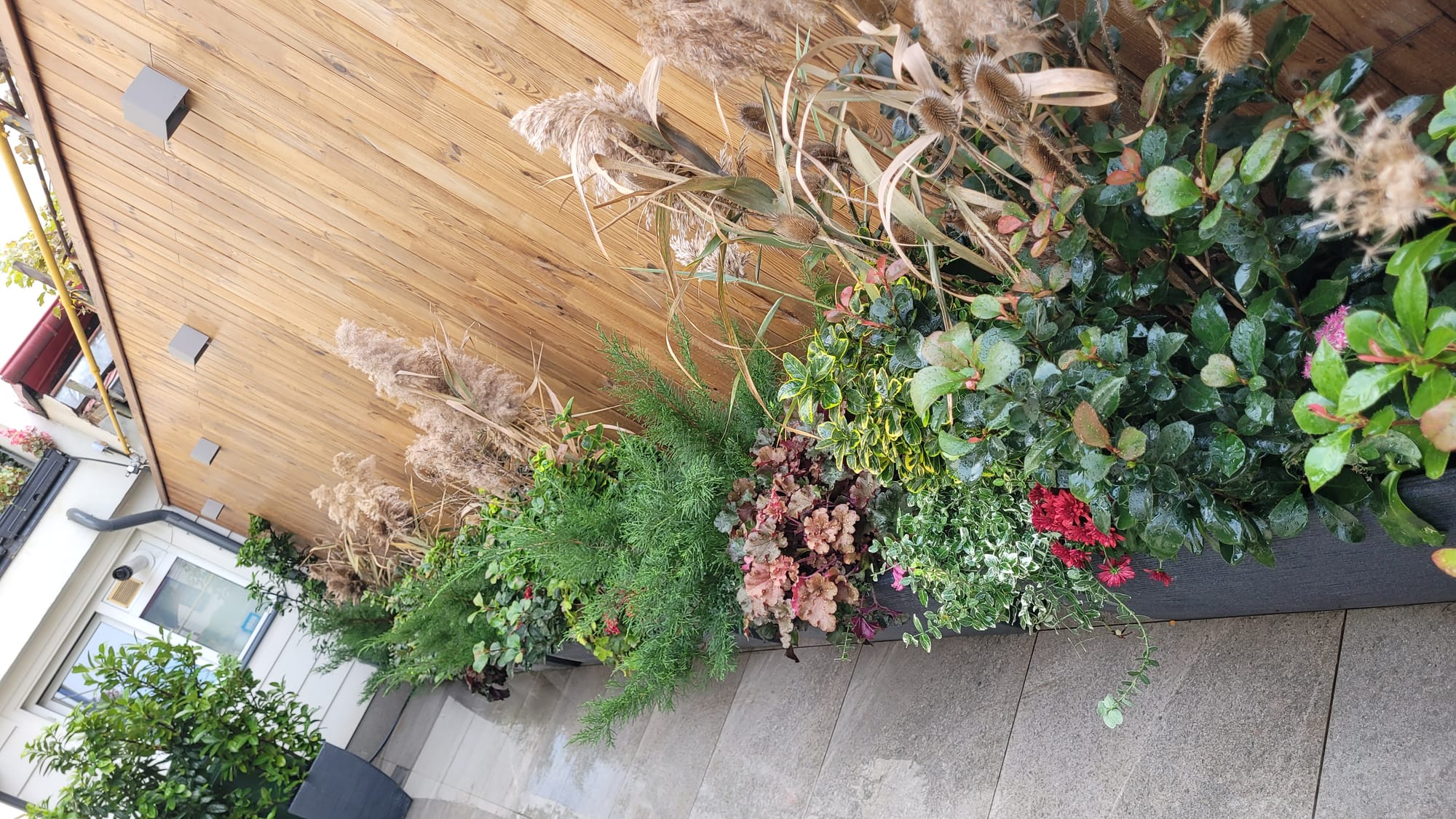 Amenajare exterioara