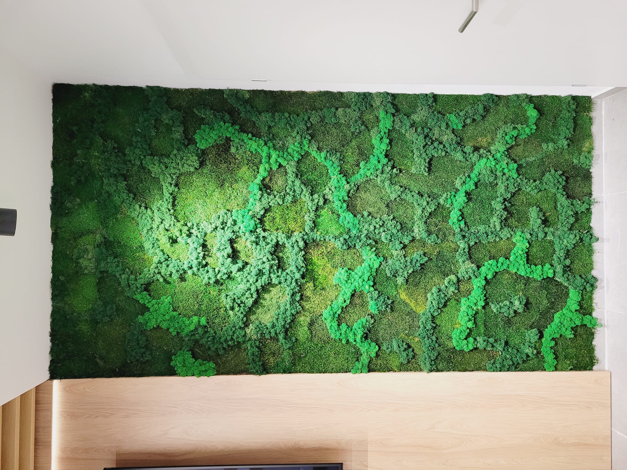 Comisia Națională pentru Controlul Activităților Nucleare