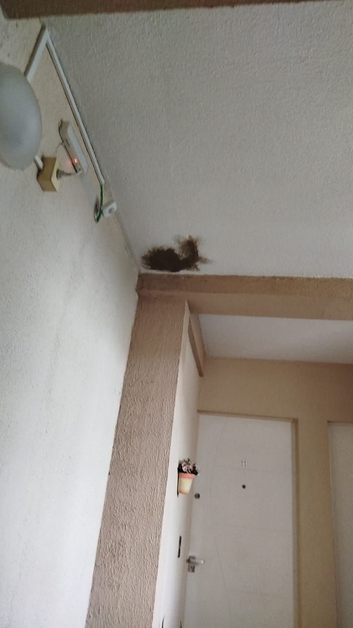 IV. ETAPA - ÁREAS INTERNAS