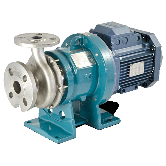 O QUE ESTÁ SENDO FEITO HOJE