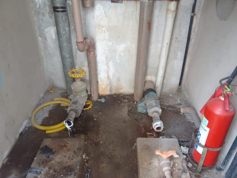 O QUE ESTÁ SENDO FEITO HOJE