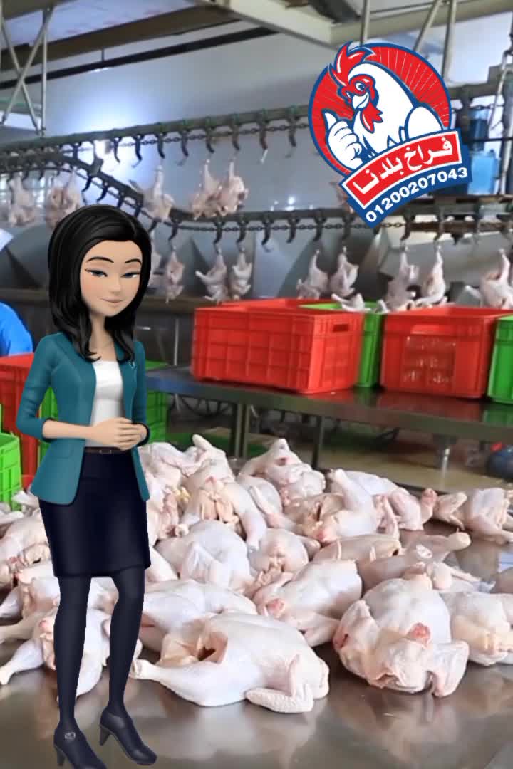 ﴿ شركة فراخ بلدنا ﴾ thumbnail