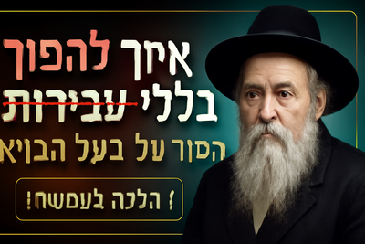 ### 1. ⭐⭐⭐⭐⭐ "איך להפוך את העבירות שלכם לבלתי נראות לקדוש ברוך הוא"